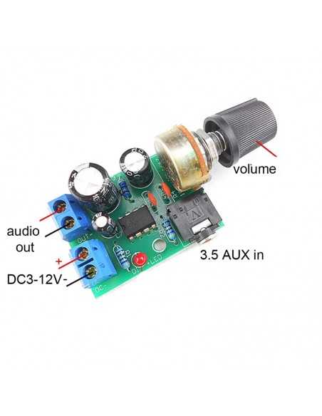 Module amplificateur mono 2W